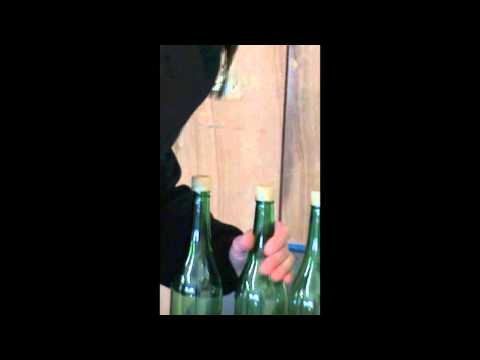 Pneumatic Screw Cap Tightener - from Vigo Ltd