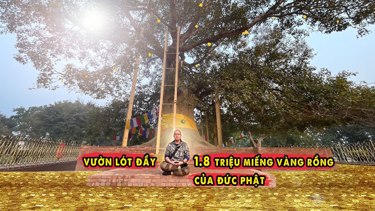 Khu Vườn Lót Đầy 1.8 triệu Miếng Vàng Ròng Của Đức Phật - Tịnh Xá Kì Viên!!!