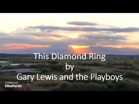Gary Lewis and the Playboys - This Diamond Ring