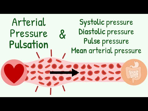 Systolic-Diastolic Pressure, Pulse Pressure, Mean Arterial Pressure & Transmission of Pressure Pulse