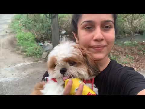 Buddy Goes for a walk !!!