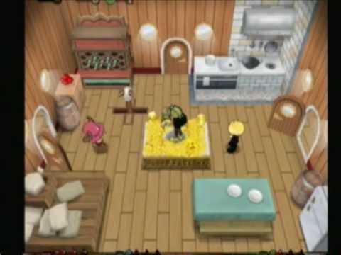 one piece pirates carnival gamecube iso