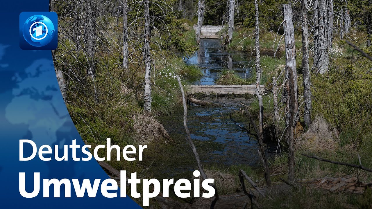 Moorforscherin und Ingenieur erhalten Umweltpreis