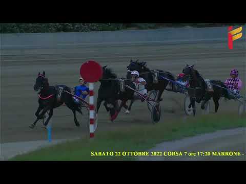 VI Corsa del 22 ottobre 2022 - 4 Anni - Metri 2000