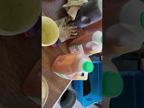 Worms Can Survive a 72 Hour Aeration