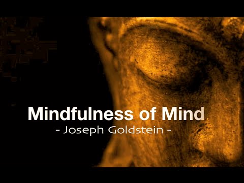 Mindfulness of Mind ☮ Joseph Goldstein