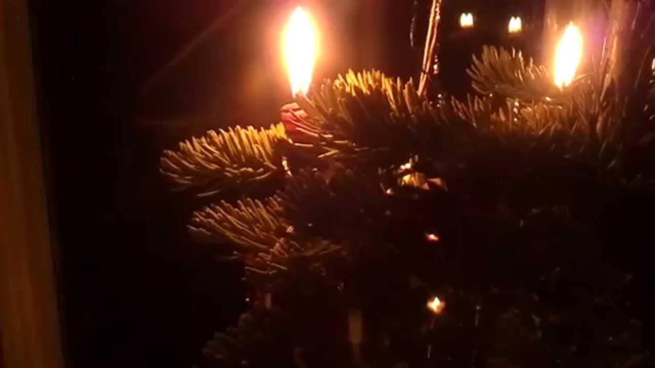 Our 2013 Christmas Tree with candles on it