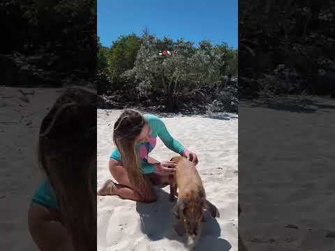 Ahh! I love this kind of surprises 🏝️🐚👙🌺 | Cosmina Cartas #shorts #shortvideo