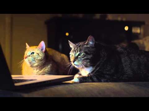 ADC Kinospot „Gothic Cat“