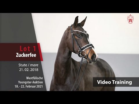 Youngster Auktion 18. - 22. Februar 2021 Training Lot 1 Zuckerfee Stute v. Zoom -   Fiorano