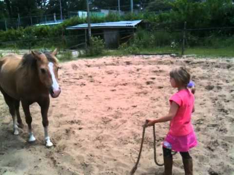 Talitha (6) en Speedy praten met elkaar in paardentaal