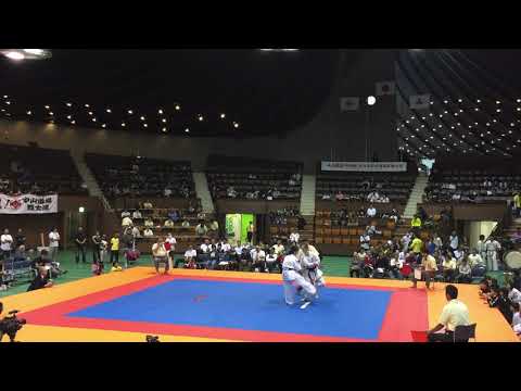 Kyokushinkan All Japan 2015 Final