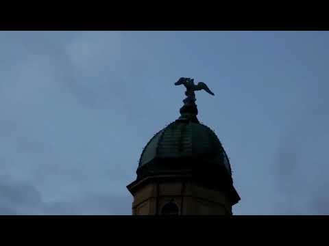 Denis Kraljević - Fiume