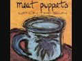 Meat Puppets Two Rivers