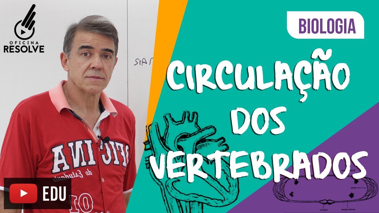 Circulação dos Vertebrados. Vai cair no ENEM