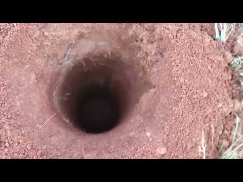 Topographic Survey Services