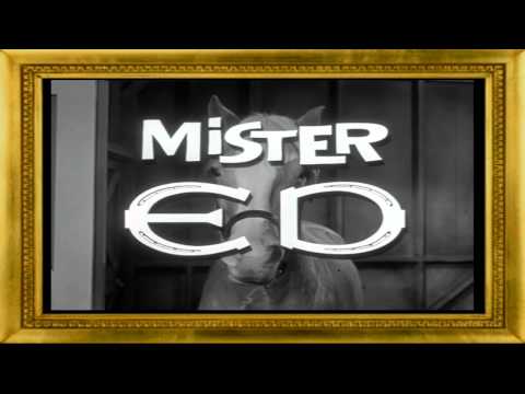 Koń który Mówi- Mister ED-intro-serial