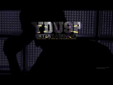 Yung Didio - Tu vaux de l'Or (Video Lyrics)