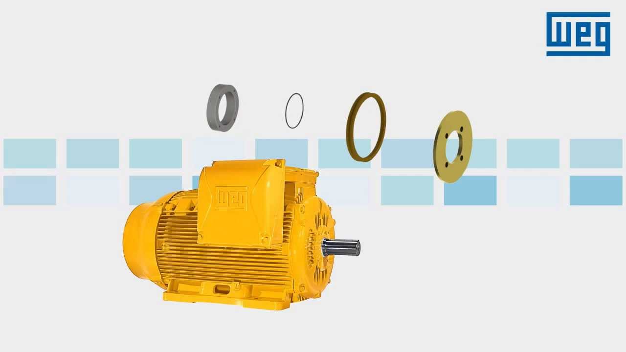 Vídeo-aula: Linha de motores WEG WELL