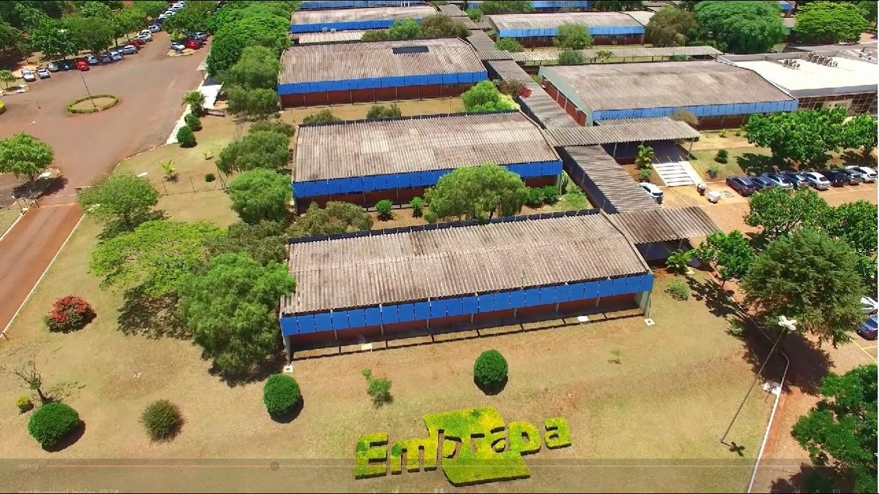 Embrapa Soybean - Institutional video