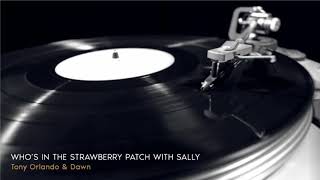 Golden Love Songs ǀ Tony Orlando &amp; Dawn - Who&#39;s In The Strawberry Patch With Sally