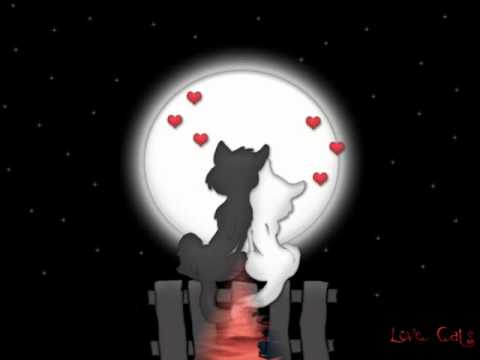 Marta Zore - Pojdi z njo