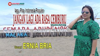 Download lagu JANGAN LAGI ADA RASA CEMBURU-(Cipt.Sius B.Bein)-Cover-ERNIA BRIA-Studio DONBERS MALAKA Chanel (SDM) mp3