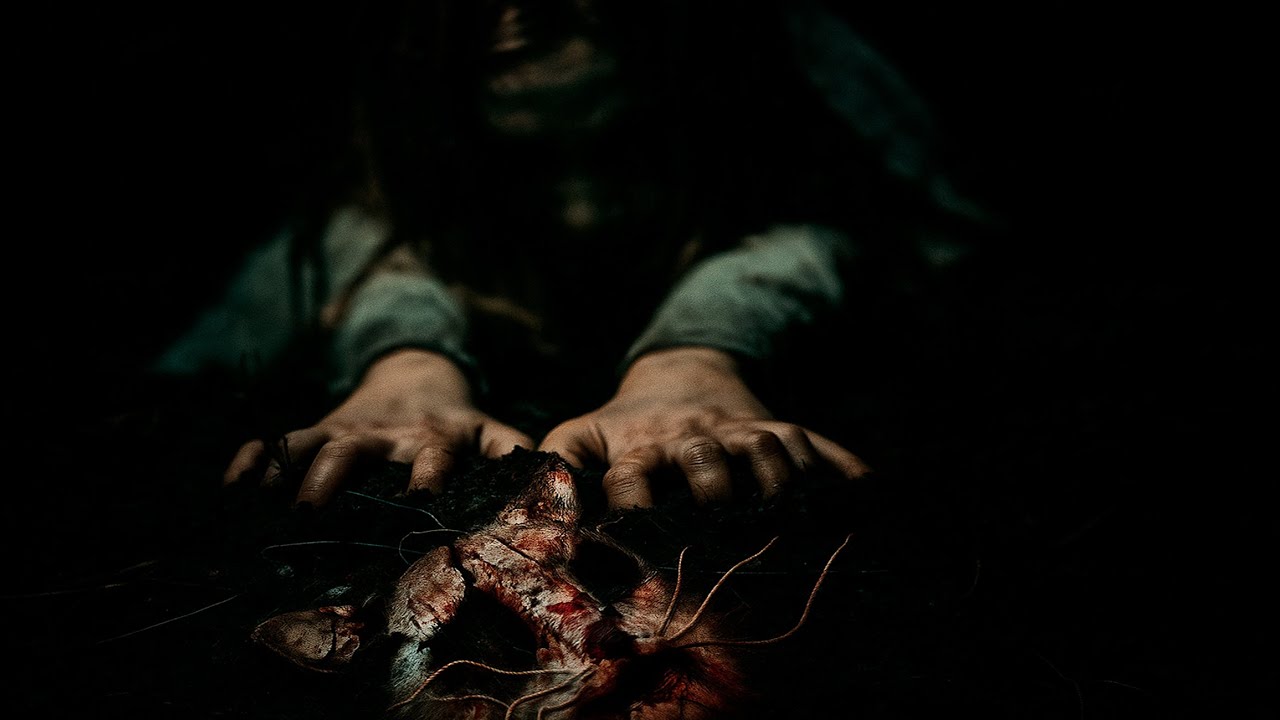 CREMATORIO de MASCOTAS entregó TIERRA en lugar de CENIZAS y luego hizo esto con LOS RESTOS