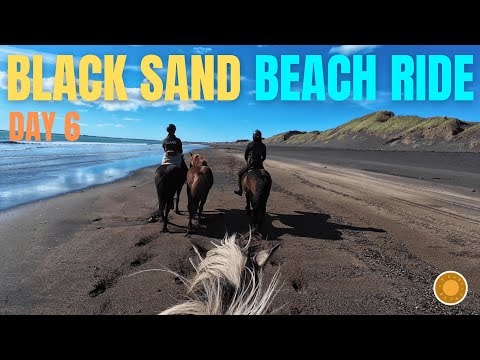 Cantering Icelandic Horses on Iceland’s Black Sand Beach | Eldhestar