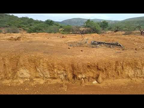FAZENDA MALHADA MUNICÍPIO DE SENTO SE BAHIA PARTE 2