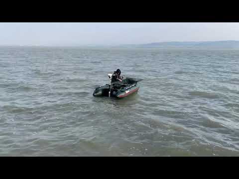 Let´s go for carp IBCC2019