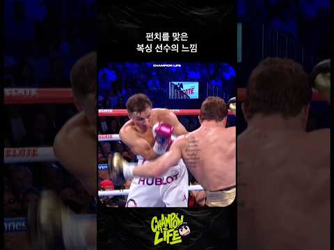 펀치를 맞은 복싱 선수가 이런 느낌이라니…