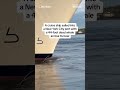 Cruise ship sails into NYC port with dead whale across its bow - Video