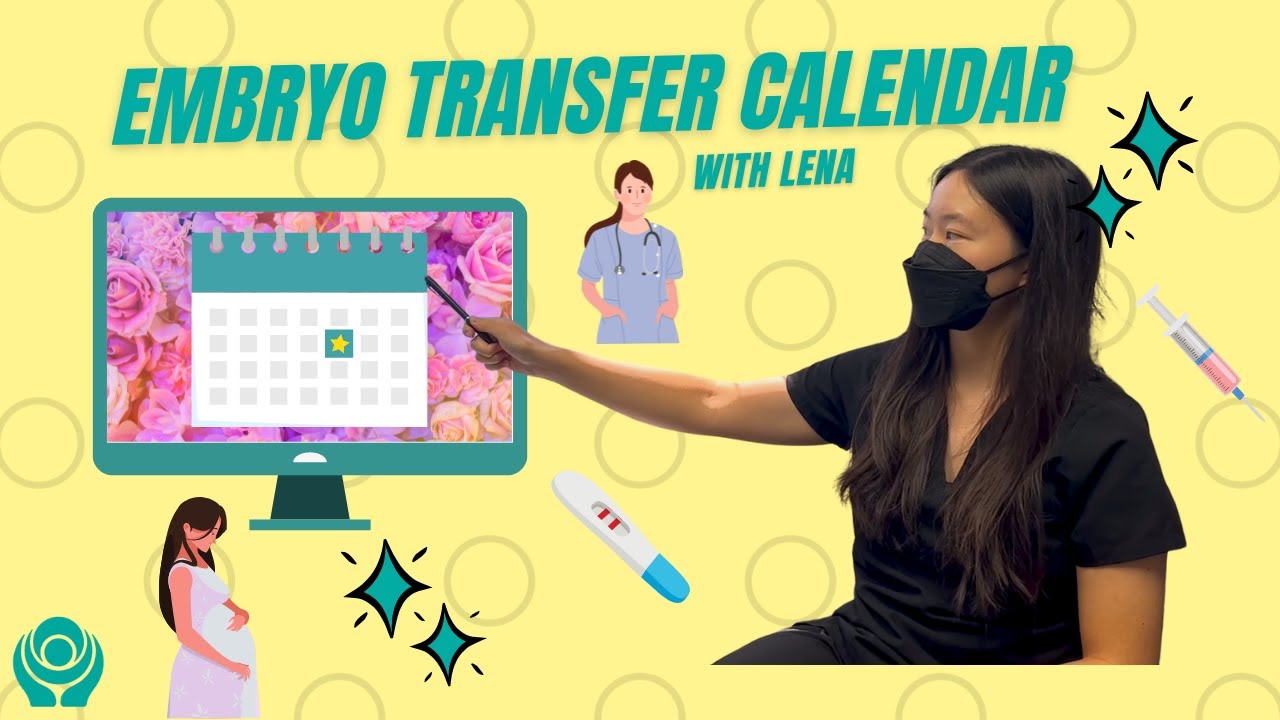 Embryo Transfer Calendar Overview