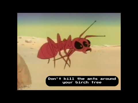 The Famous Sandhogs - Hey Jim (Don't Kill the Ants)