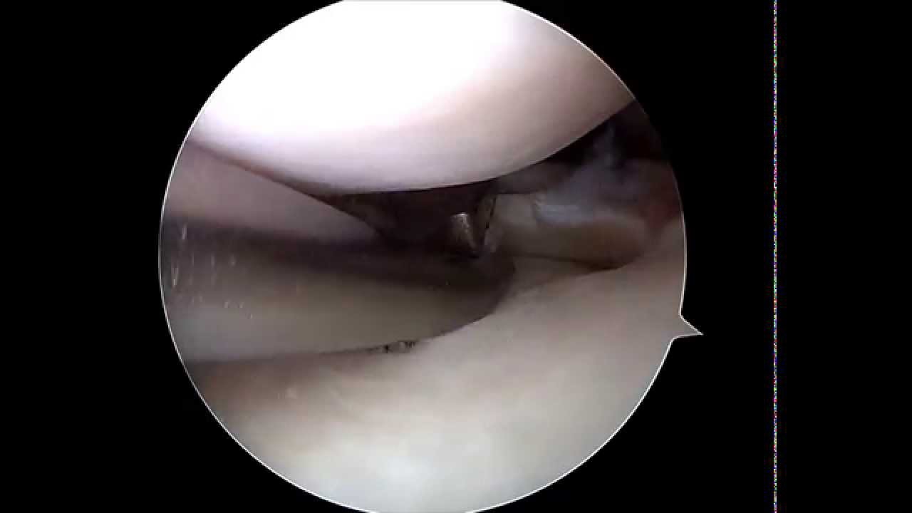 José Ignacio Eugenio Díaz-6