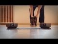 Oracle Cat Predicts Currie Cup Result