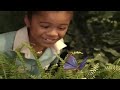 Barney And Friends Home Video Imagination Island The Movie 1994
