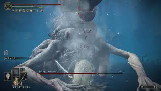 指の母、メーテール Lv120 加護0 エルデンリング DLC ボス (初攻略時)【 ELDEN RING DLC BOSS:Metyr, Mother of Fingers】