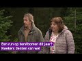 Kerstboomverkopers verwachten 40 procent meer omzet