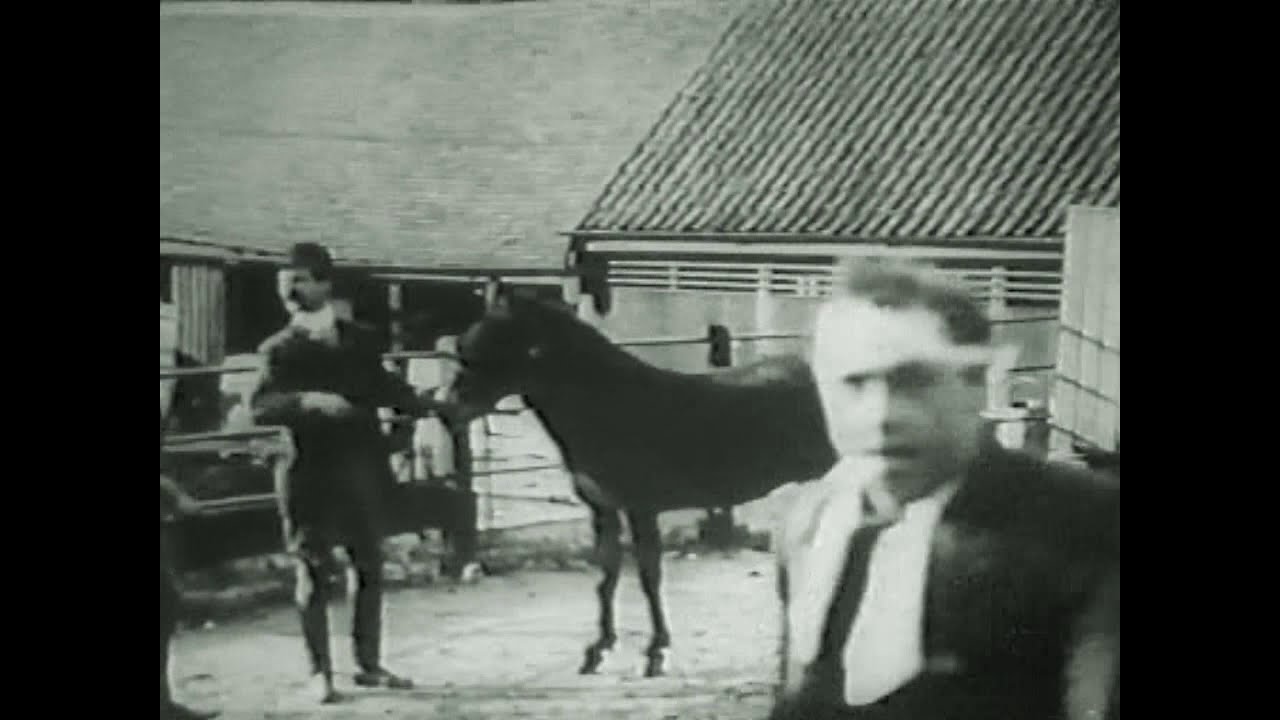Tomkins Buys A Donkey (1908)