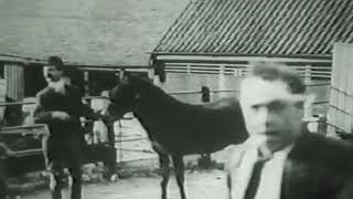 Tomkins Buys A Donkey (1908)