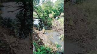 Download lagu The swamps are starting to dry up and become dry #fishing #shorts #funnycomedy #funny #estuary cr... mp3