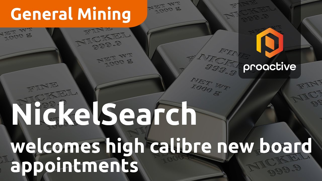 NickelSearch welcomes high calibre new board appointments