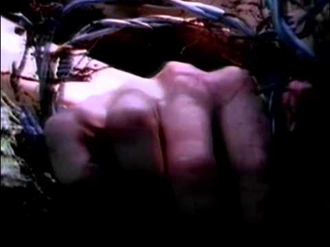 Carcass - No Love Lost [Official Video]
