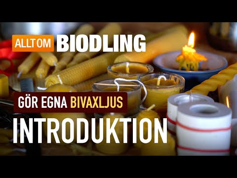 Bivaxljus: Introduktion | Gör egna ljus av bivax