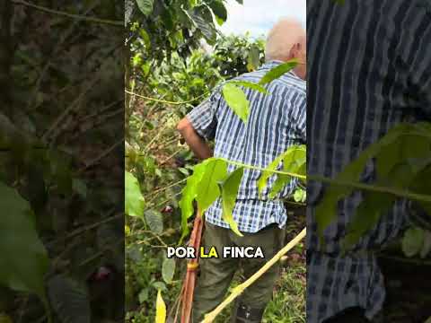 Finca Costa Rica. Topaipí Cundinamarca.