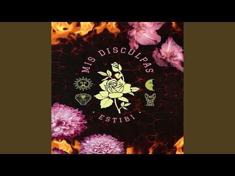 Mis Disculpas