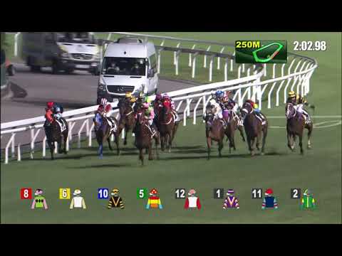 3/11/2021 (142) Go Ballistic- B Shinn