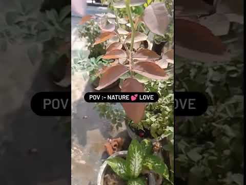 Protecting the Present, Embracing the Future! 🛡️🚀 #GuardiansOfTime #DefendersOfTomorrow #arijitsingh